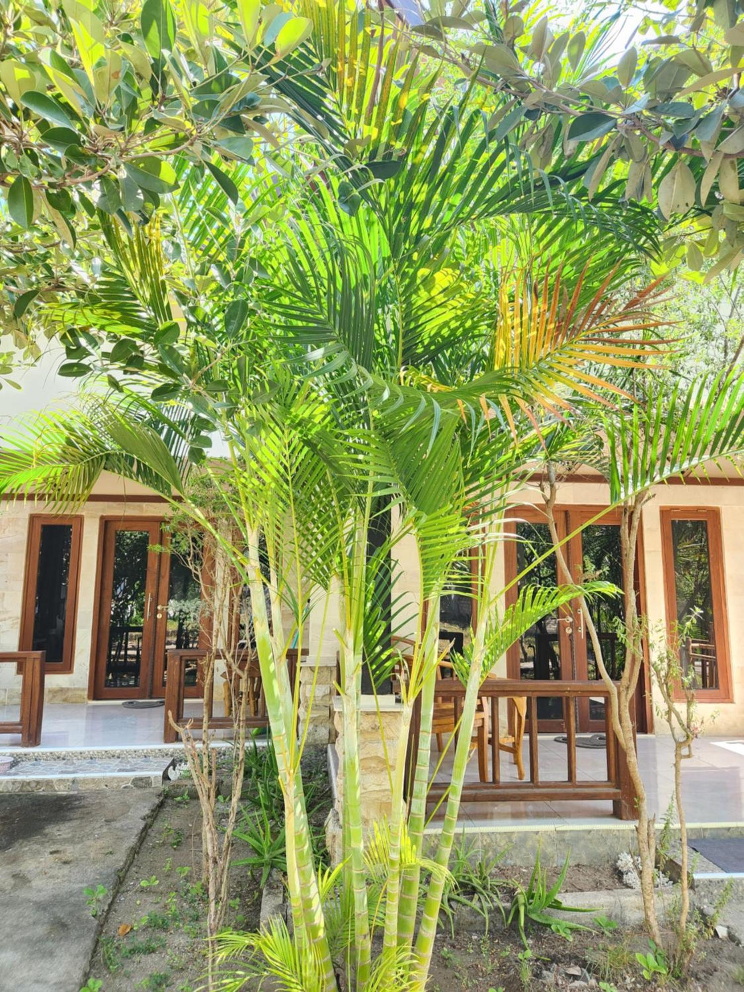 Run Gilis Apartment Gili Meno Exterior foto